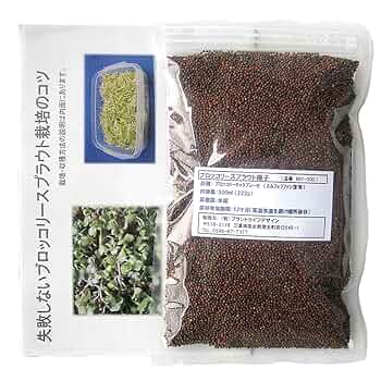 種子10袋セット　　　スルフォラファン　見分け方 Amazon.co.jp: ブロッコリースプラウト種子(300ml) 高濃度